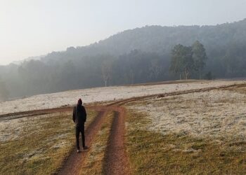 Temperature in Shimlipal is ‘zero’ : ଶିମିଳିପାଳରେ ତାପମାତ୍ରା ‘ଶୂନ’