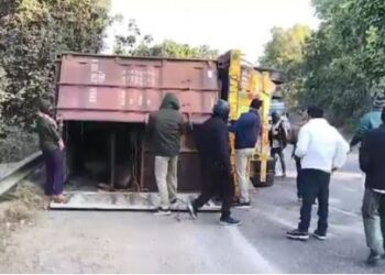 Truck loaded with cattle overturns : ଓଲଟିଲା ଗୋରୁ ବୋଝେଇ ଟ୍ରକ