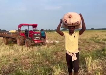 Paddy purchase : ସ୍ୱାଭାବିକ ହେଲା ଧାନ କିଣା